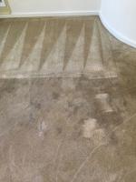 Wizard Carpet Cleaning image 9
